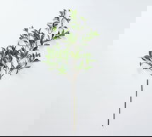 Online Designer Other Faux Bay Leaf Branch, Large, Green