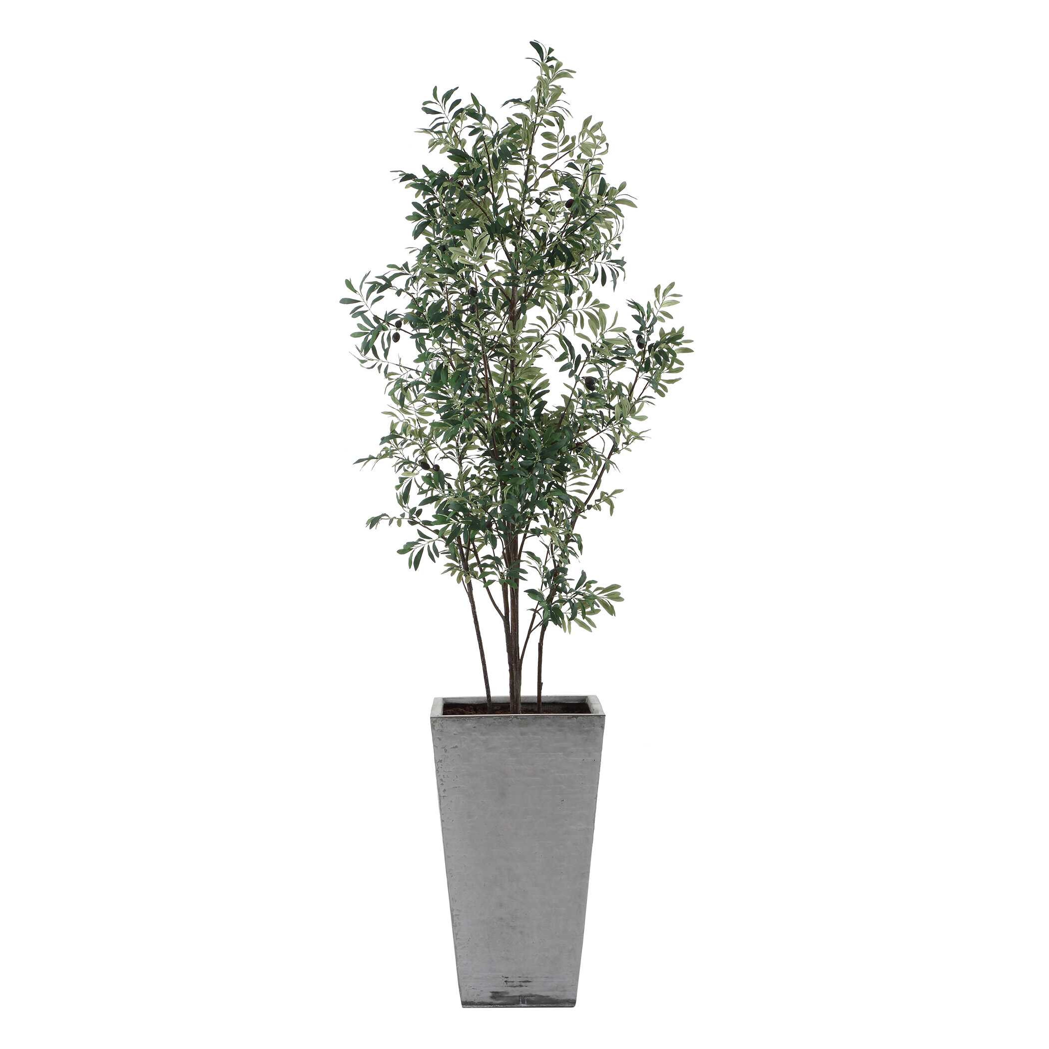 Sonora Olive Tree In Planter, Decorative by Uttermost, 33" width x 89.25" height x 31.5" depth View 4