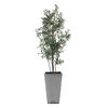 Sonora Olive Tree In Planter, Decorative by Uttermost, 33" width x 89.25" height x 31.5" depth thumbnail 4