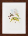 Surya Wall Decor thumbnail 0