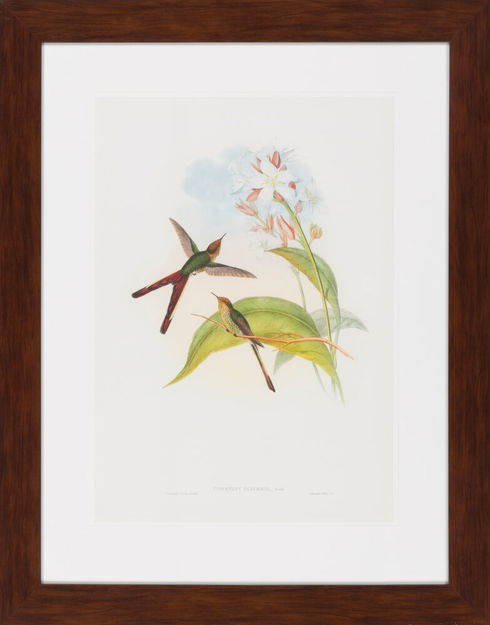 Surya Wall Decor
