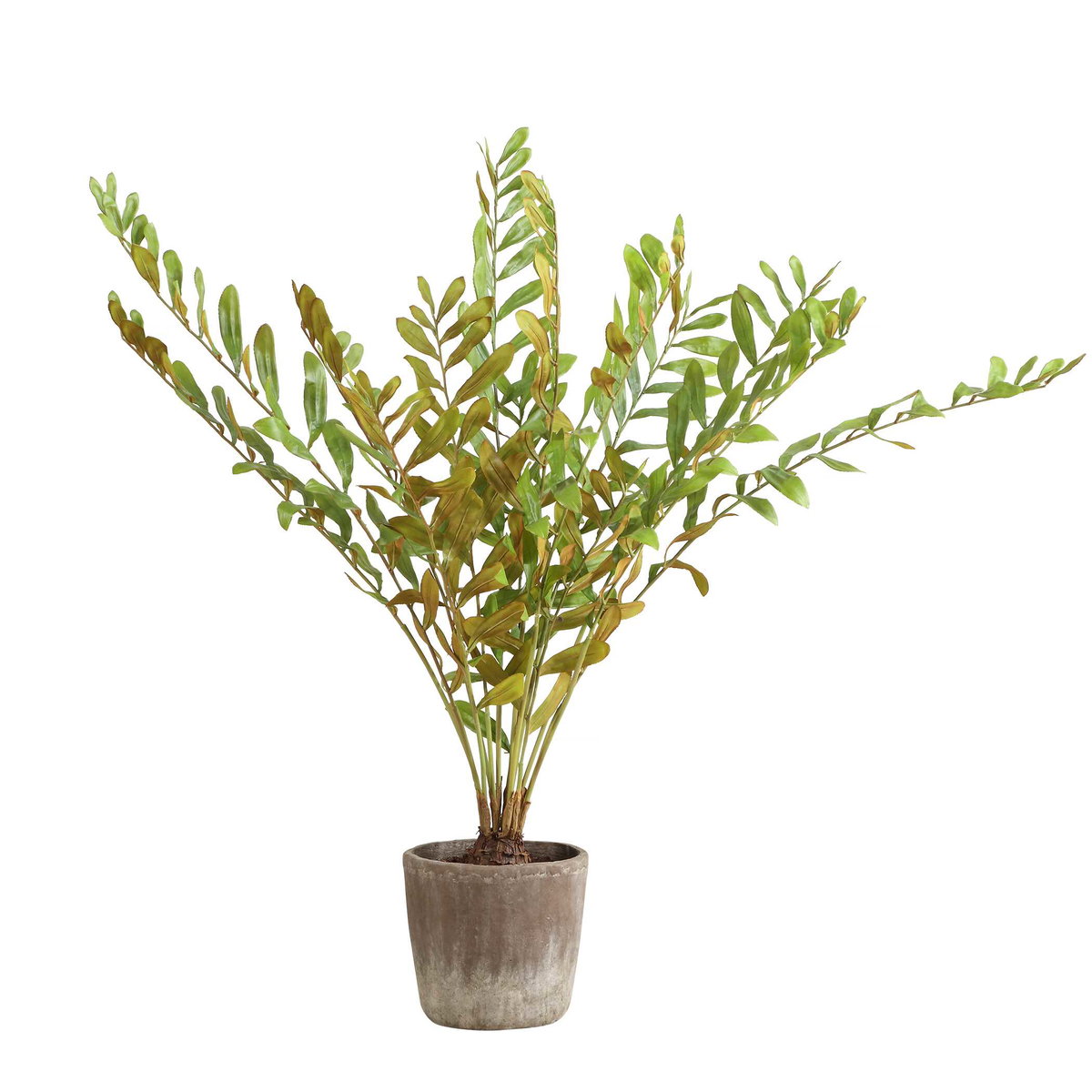 Zamia Palm Accent In Planter, by Uttermost, 43" width x 57.75" height x 43" depth View 3