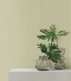 Su Tela Green Wallpaper thumbnail 1