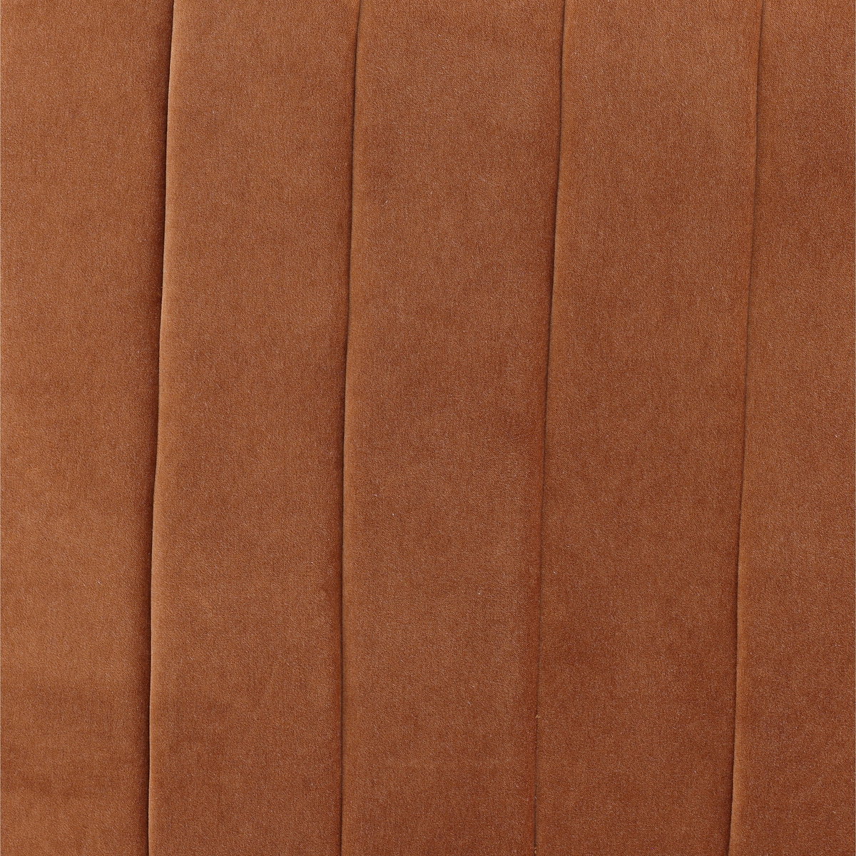 Bobbie Occasional Chair Ginger, Accent Chair by Dovetail, 38" width x 28.25" height x 33" depth View 5