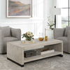 Bosk White Washed Coffee Table, Furniture by Uttermost, 53.87" width x 18.12" height x 29.87" depth thumbnail 4