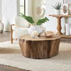 Woods Edge Sierra Coffee Table thumbnail 1