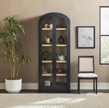 Online Designer Combined Living/Dining Ridunel Modern Arched Standard Bookcase with Glass Doors