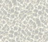 Leopard Rosettes Grey Wallpaper, by York Wall, 27' length x 2'3" width x 0.02" depth thumbnail 1