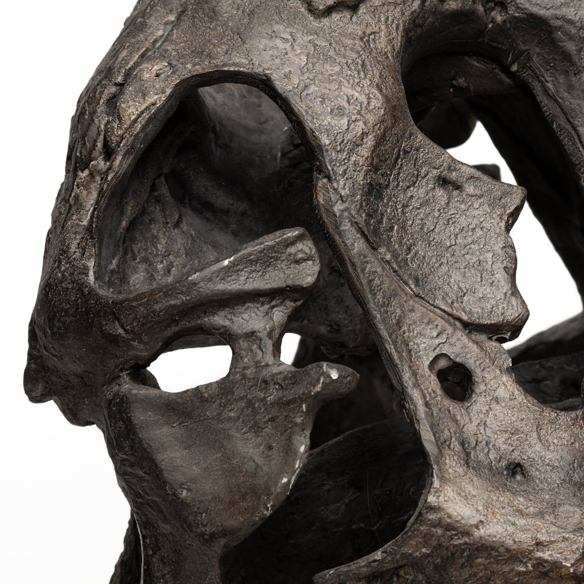 Lagrane 19L x 11W Brown Resin Tyrannosaurus T Rex Dinosaur Skull Replica, Decorative Object by Mercana, 19" length x 11" width x 20" height View 11