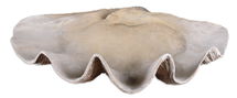 Online Designer Bedroom Clam Shell Bowl