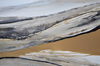 Humphrey Canvas Art thumbnail 5