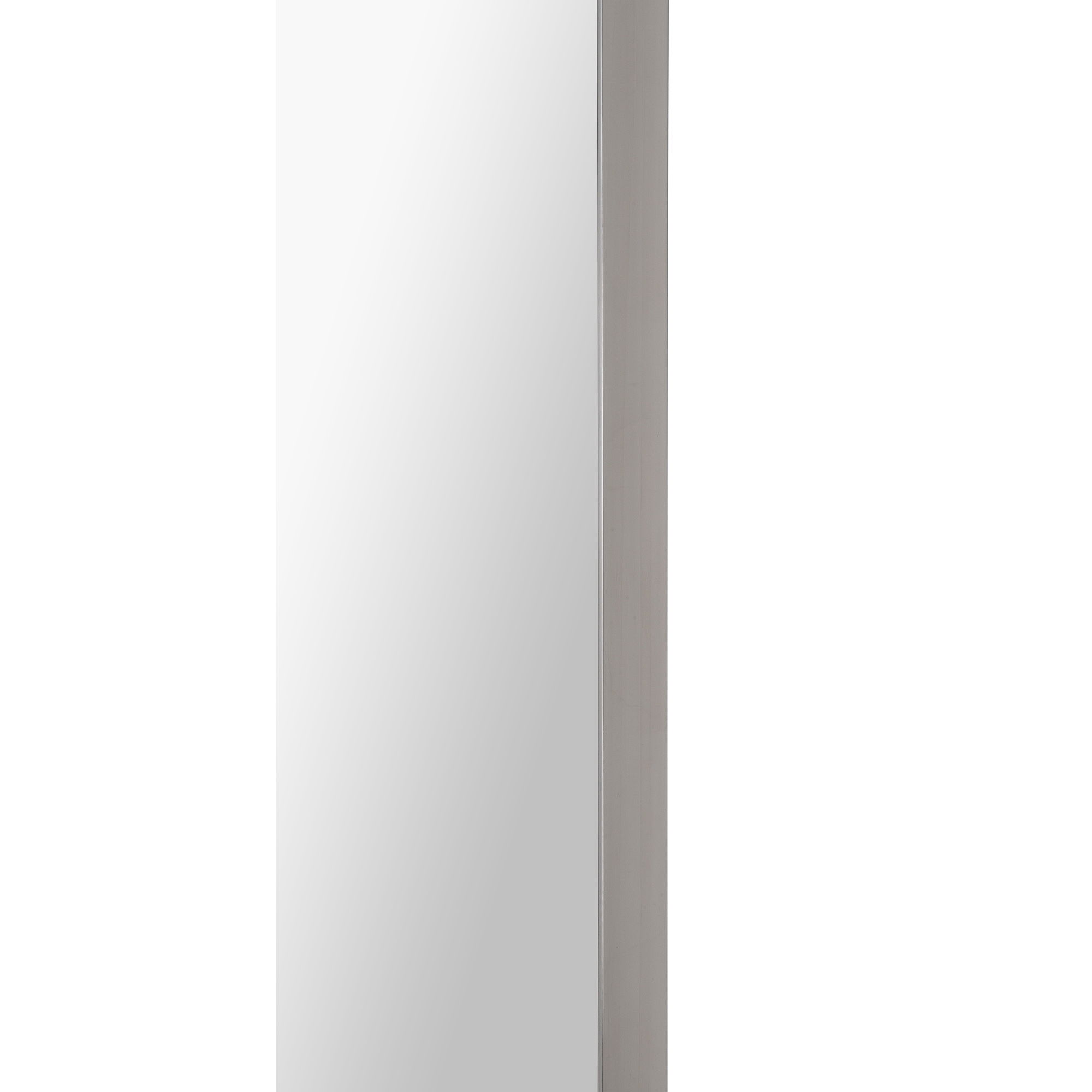 Delphinus Wall Mirror large image 