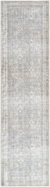 Kemer Machine Woven Rug, by Surya, 10'0.08" length x 2'7.49" width thumbnail