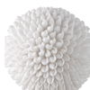 Cascara White Sculpture thumbnail 3