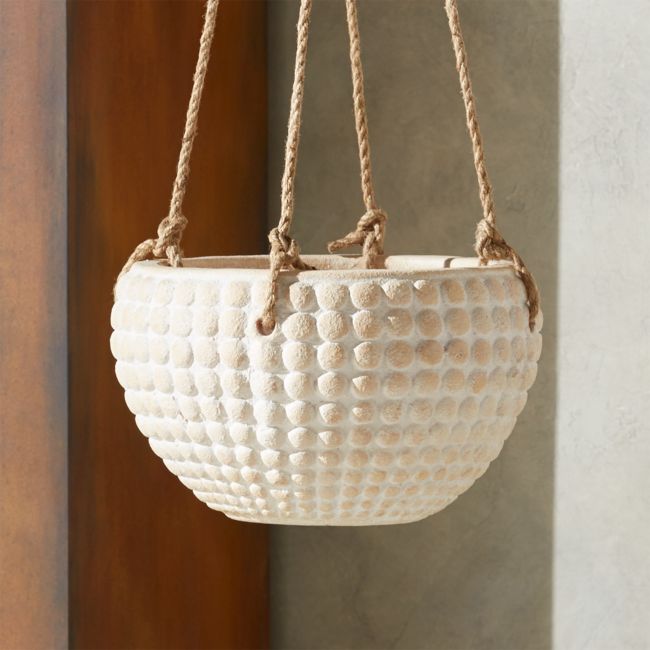 Online Designer Hallway/Entry Zola Medium Hanging Planter