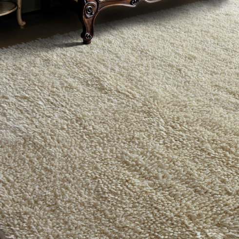 Caramont Ivory 9 X 12 Rug