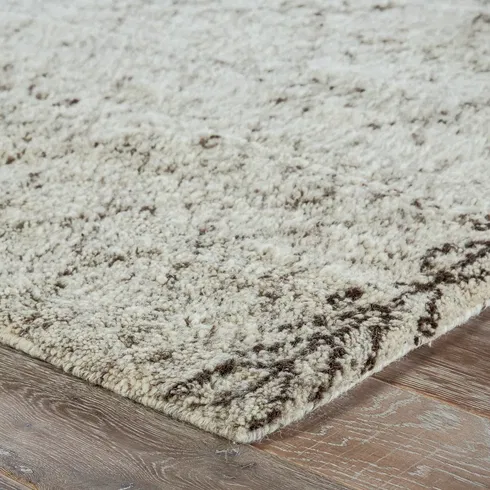 Esben Hand Knotted Wool Ivory/Brown Area Rug