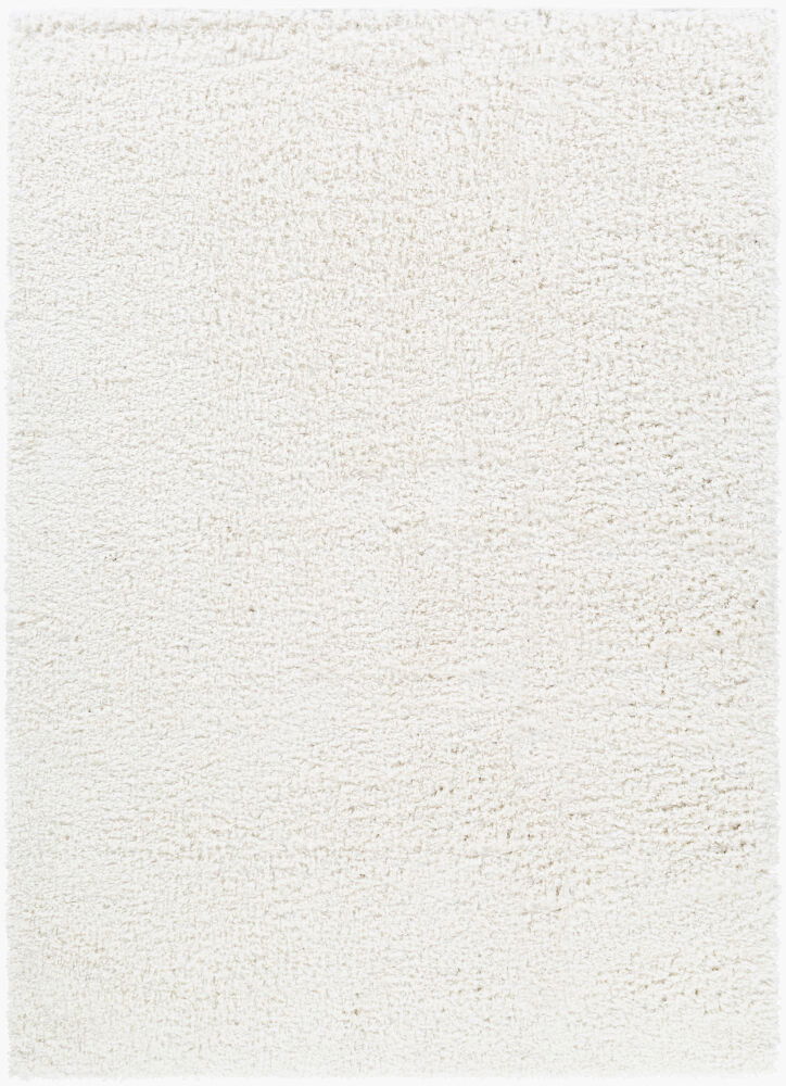 California Shag Machine Woven Rug large image 