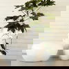 Joshua Outdoor Pebblestone White thumbnail 1