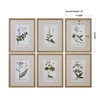 Green Floral Botanical Study Prints Set/6, Art by Uttermost, 17.62" width x 22.62" height x 1.5" depth thumbnail 3