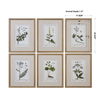 Green Floral Botanical Study Prints Set/6 thumbnail 2