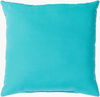 Essien Accent Pillow, Decorative Pillow by Surya, 20" length x 20" width thumbnail