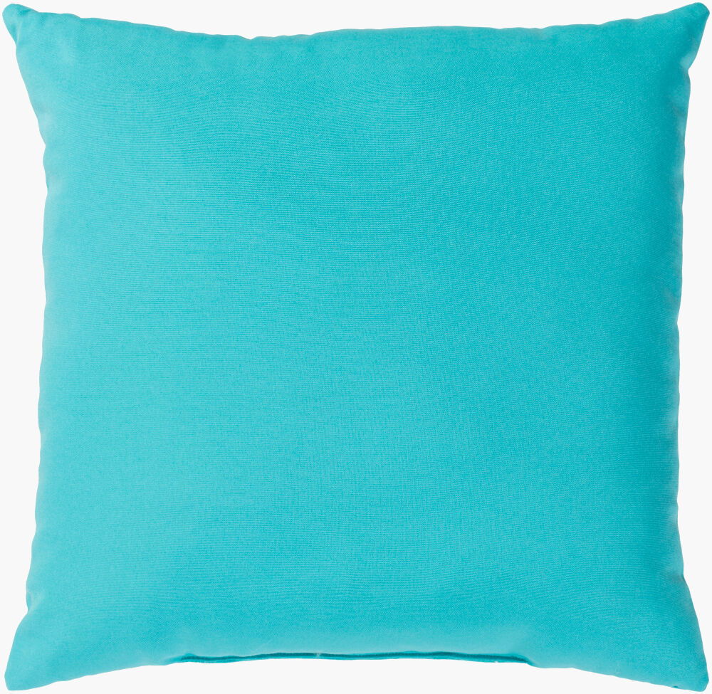 Essien Accent Pillow, Decorative Pillow by Surya, 20" length x 20" width