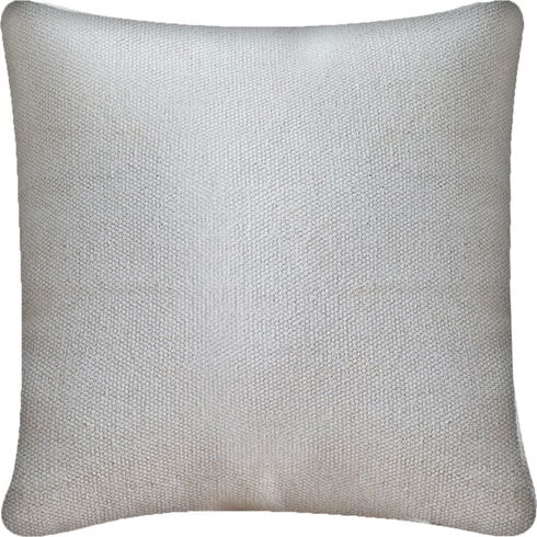 Laneus III 22 x 22 Cream Decorative Pillow Cover