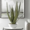 Evarado Aloe Planter, Artificial Plants & Flower by Uttermost, 16.75" width x 28.25" height x 16.75" depth thumbnail 3