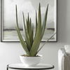 Evarado Aloe Planter, Decorative by Uttermost, 16.75" width x 28.25" height x 16.75" depth thumbnail 3