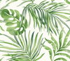 Paradise Palm Green Peel & Stick Wallpaper thumbnail 0