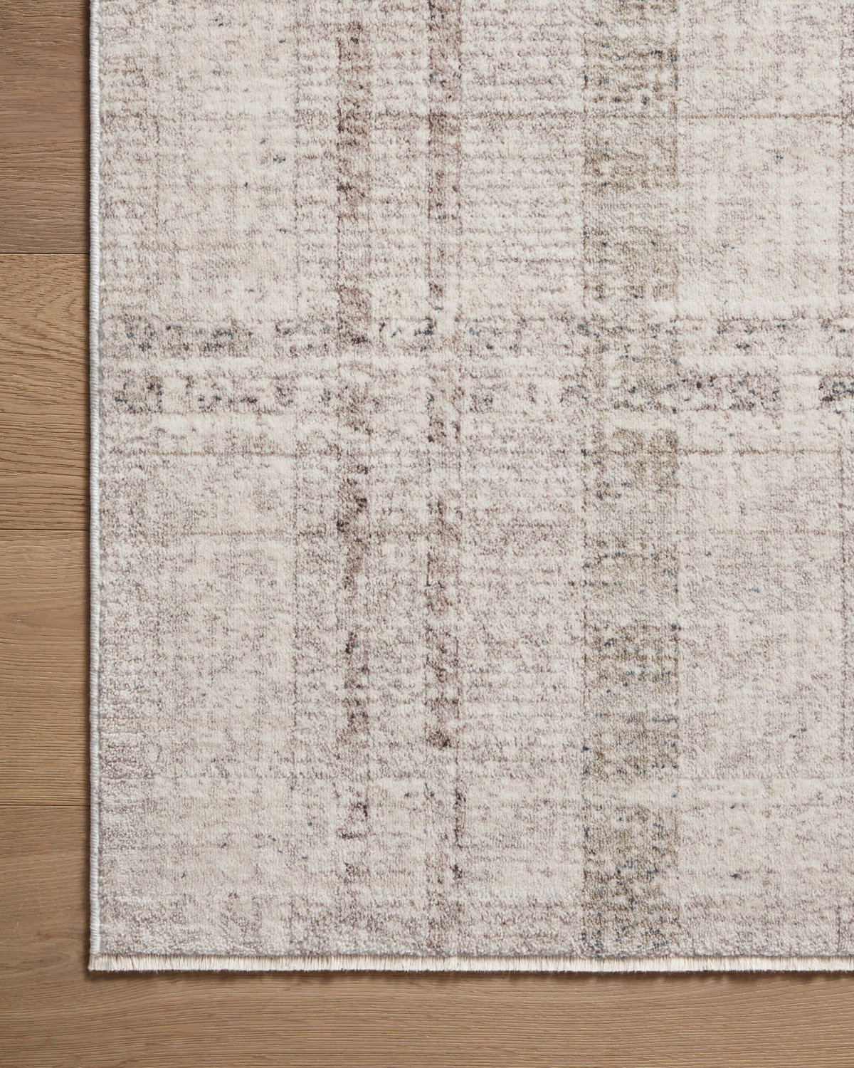 Angela Rose x Loloi Ember Rug, 1'6" length x 1'6" width View 5