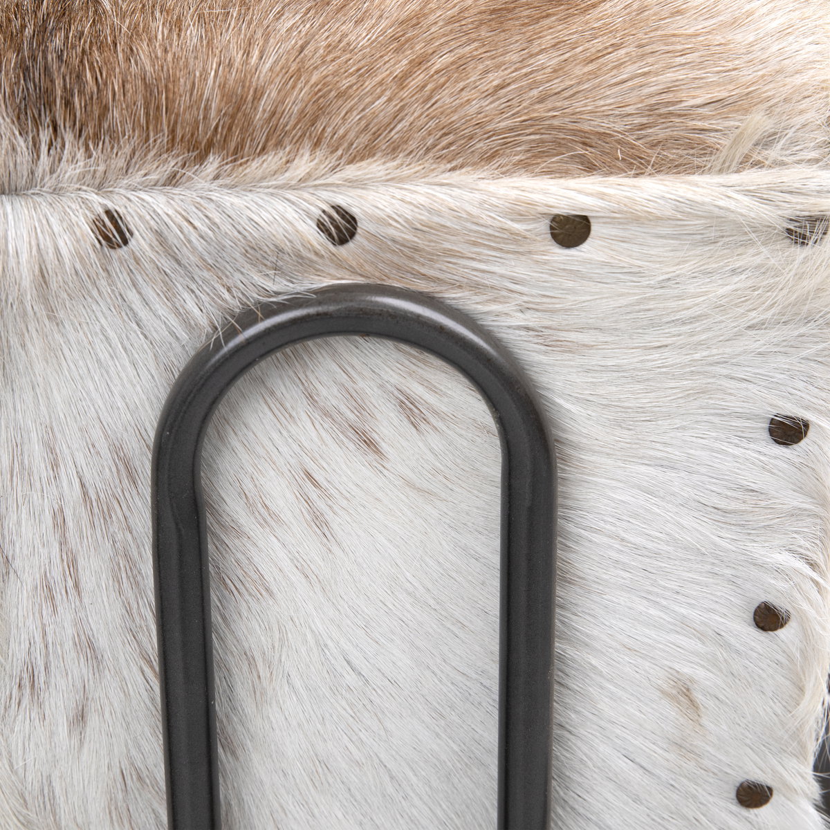 Laney Occasional Chair, Accent Chair by Dovetail, 23.5" width x 32" height x 31.5" depth View 5