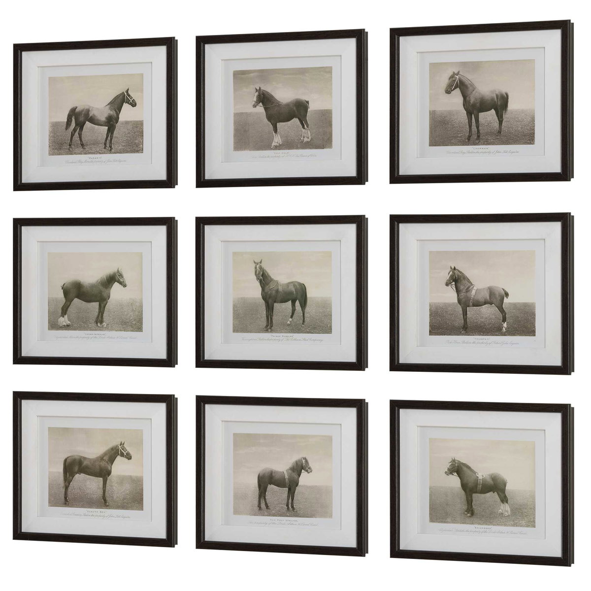 Equine Dynasty Framed Prints Set/9, Art by Uttermost, 15.87" width x 13.87" height x 1.5" depth View 5