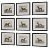 Equine Dynasty Framed Prints Set/9, Art by Uttermost, 15.87" width x 13.87" height x 1.5" depth thumbnail 5