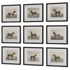 Equine Dynasty Framed Prints Set/9, Painting by Uttermost, 15.87" width x 13.87" height x 1.5" depth thumbnail 5