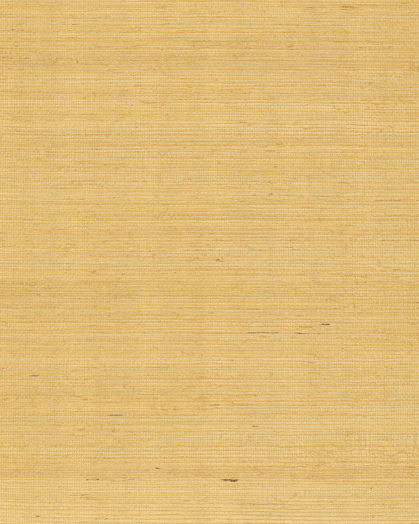 Maguey Sisal Gold Wallpaper large image 