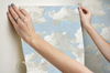 Clouds on Canvas Blue Peel & Stick Wallpaper thumbnail 6