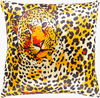 Chloe Accent Pillow thumbnail 0