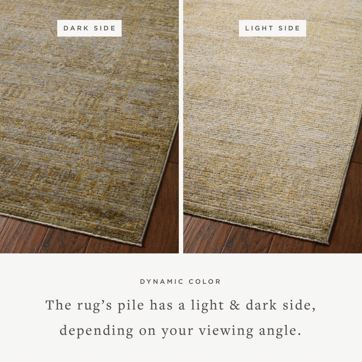 Jean Stoffer x Loloi Bradbury Rug, 2'7" length x 4' width View 5