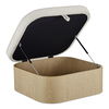 Sonny Ottoman Ash thumbnail 1