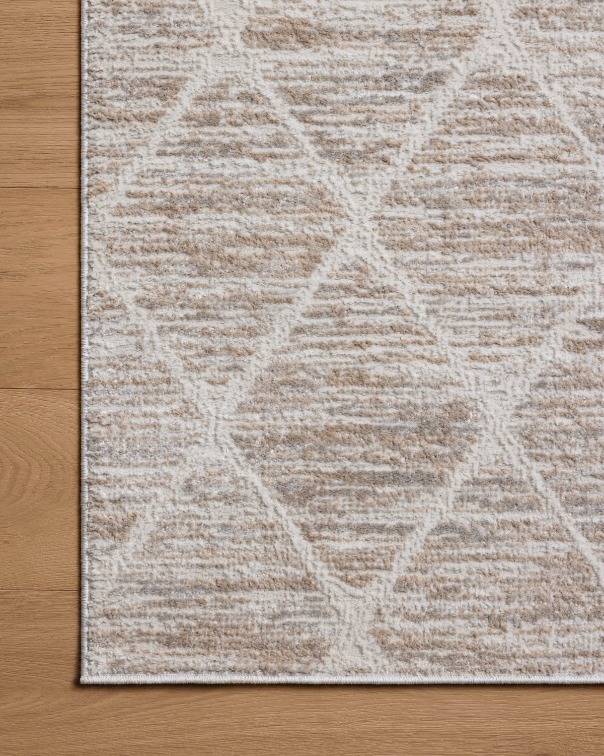 Loloi Townes Rug, 1'6" length x 1'6" width View 5