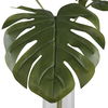 Ibero Split Leaf Palm, Decorative by Uttermost, 30" width x 30" height x 30" depth thumbnail 5