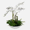 Flourish Orchid Centerpiece, Artificial Plants & Flower by Uttermost, 33" width x 36" height x 33" depth thumbnail 1