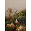 Nita Vase, by Moe's Home, 6" width x 8" height x 6" depth thumbnail 5