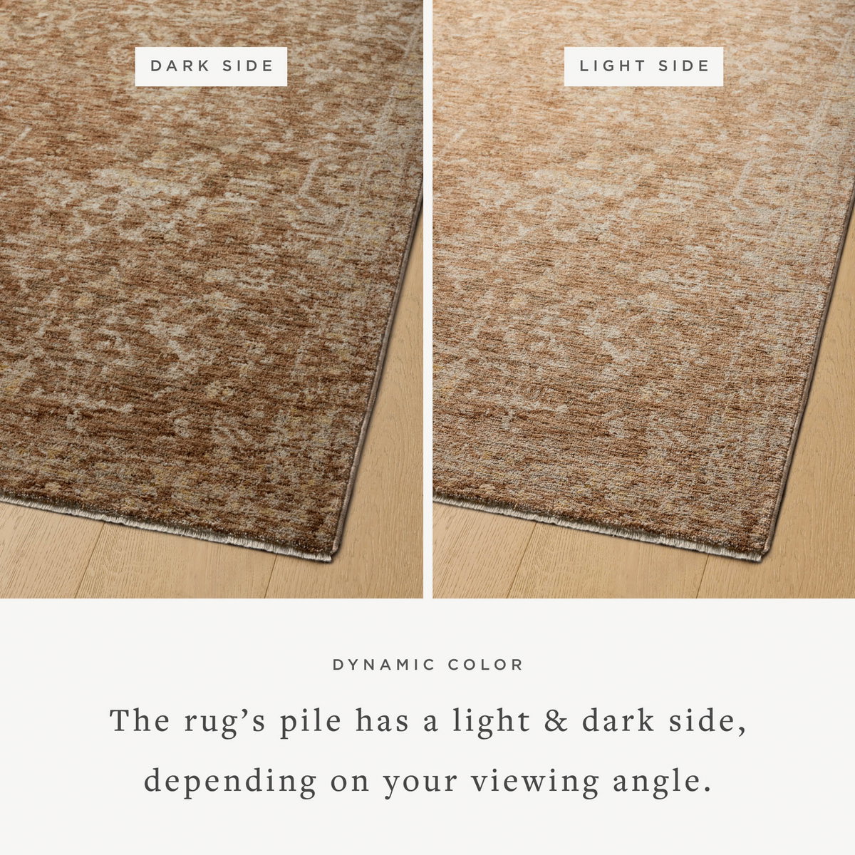 Magnolia Home by Joanna Gaines x Loloi Junie Rug, 5'3" length x 5'3" width View 4