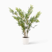 Online Designer Other Faux Potted Bamboo Tree