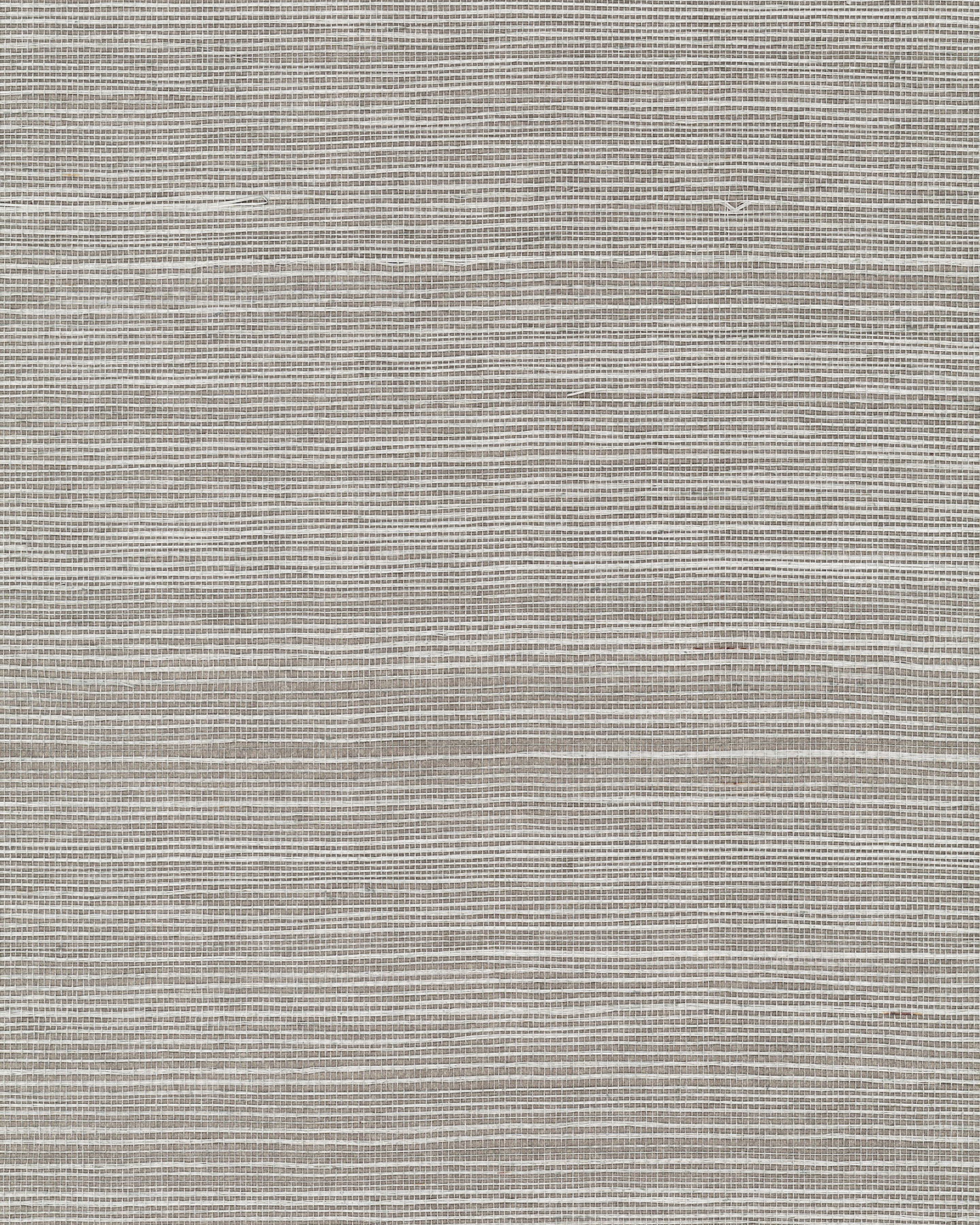 Maguey Sisal Eucalyptus Wallpaper large image 