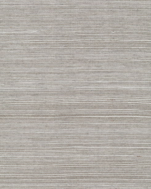 Maguey Sisal Eucalyptus Wallpaper
