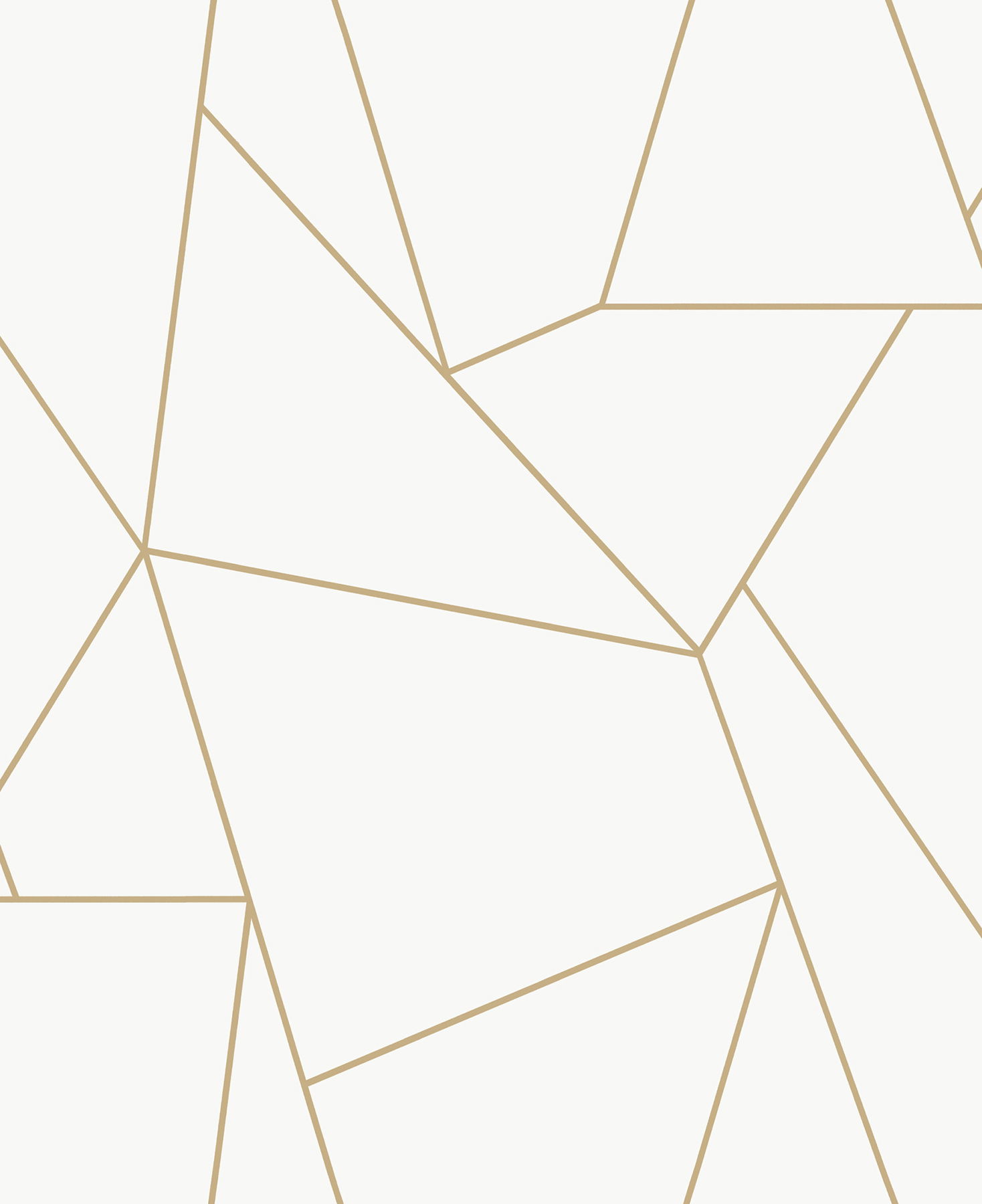 Nazca White & Gold Wallpaper large image 